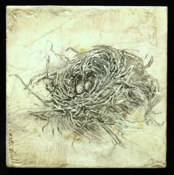 White Nest, graphite, encaustic, 6&quot; x 6&quot;